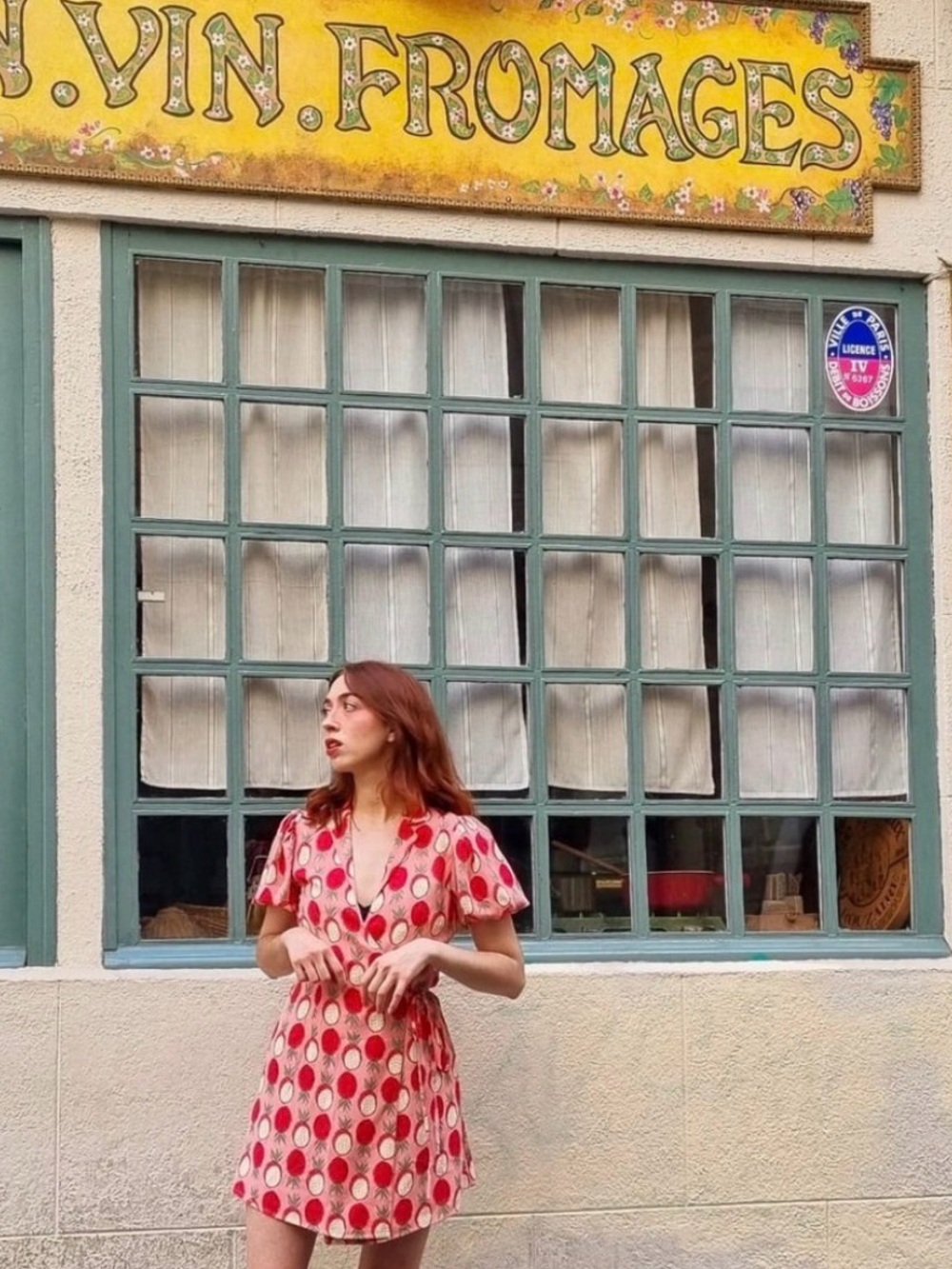Quarta du Soleil Pink Fruit Print  Wrap Dress